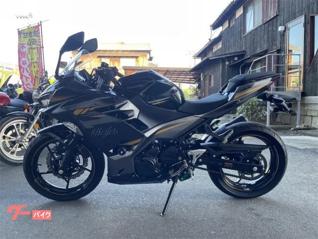 Kawasaki Ninja 400 ETC USB EX400G 2022 — миниатюра 2
