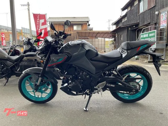 Yamaha MT-25 R97 USB 2023 — миниатюра 2