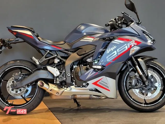 Kawasaki Ninja ZX-25R SE 2022 — фото 1, купить с доставкой в Москву