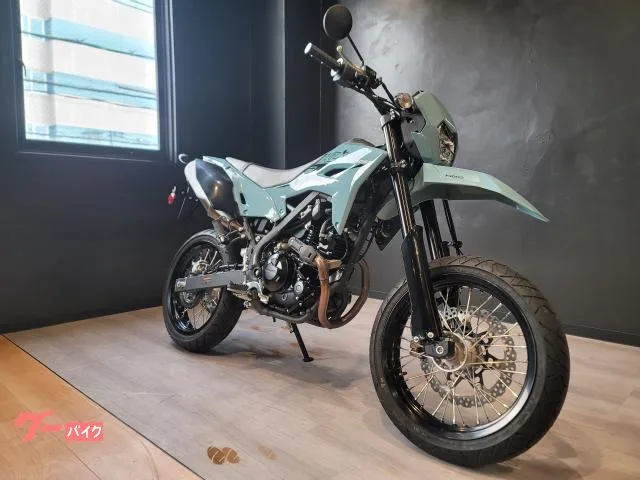Kawasaki KLX230SM 2025 — фото 1, купить с доставкой в Москву