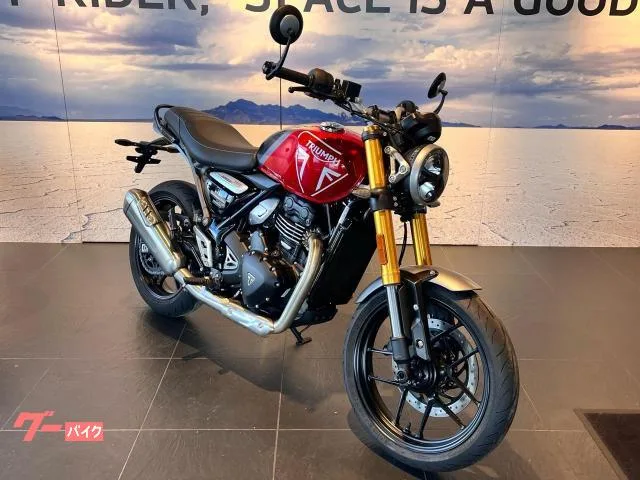 TRIUMPH 400 2026 — миниатюра 2