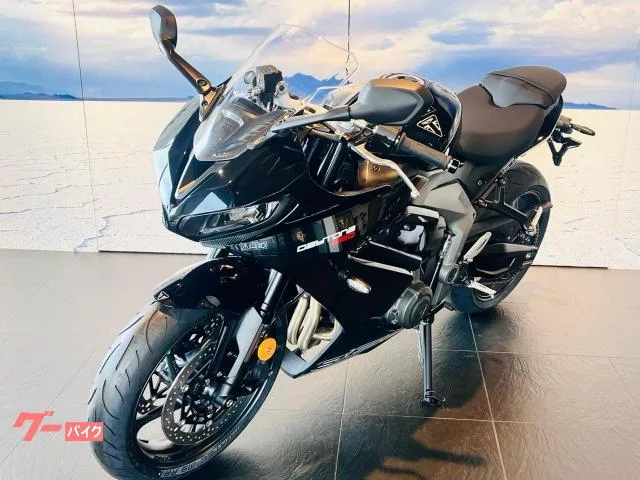 TRIUMPH 660 2026 — миниатюра 5