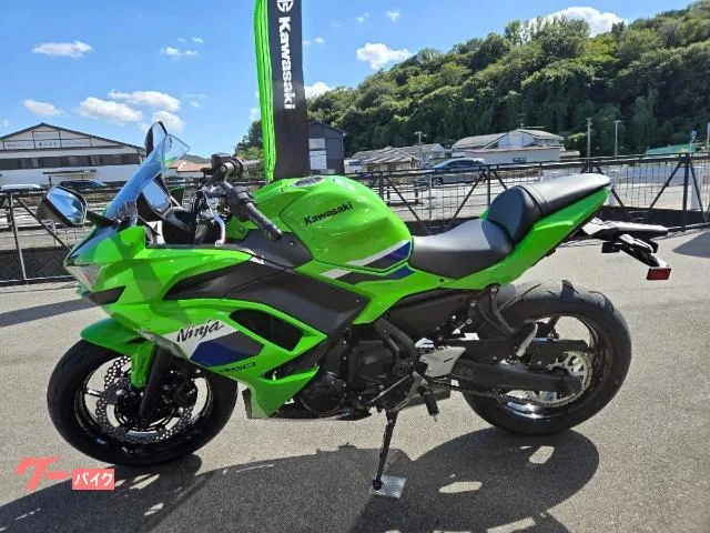 Kawasaki Ninja 650 ABS ETC 2026 — миниатюра 5