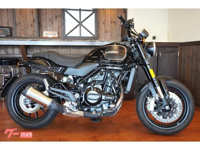 HARLEY-DAVIDSON X500 2024 202612 2024 — миниатюра 2