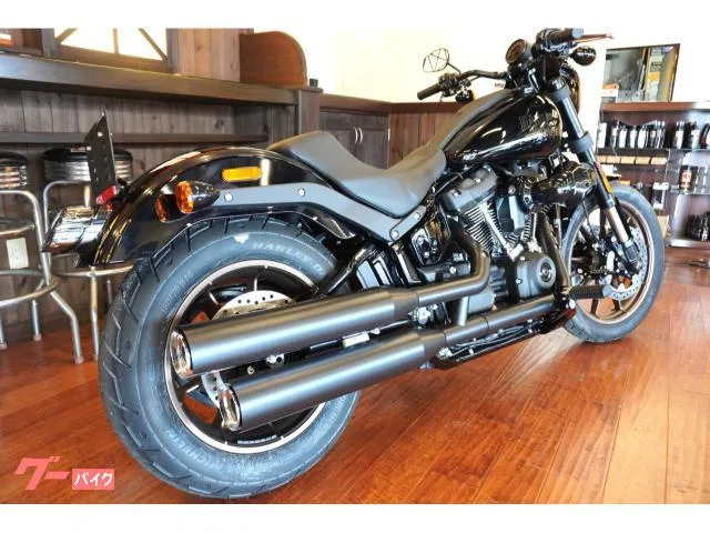 HARLEY-DAVIDSON FXLRS S117 2023 202711 2023 — миниатюра 3