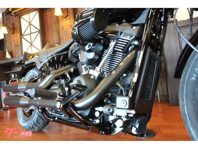 HARLEY-DAVIDSON FXLRS S117 2023 202711 2023 — миниатюра 5