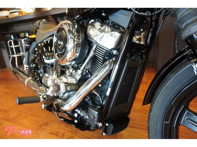 HARLEY-DAVIDSON FXBB 117 20293 2025 — миниатюра 5