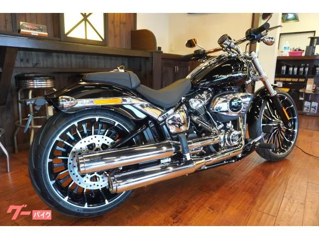 HARLEY-DAVIDSON FXBR 2025 — миниатюра 3