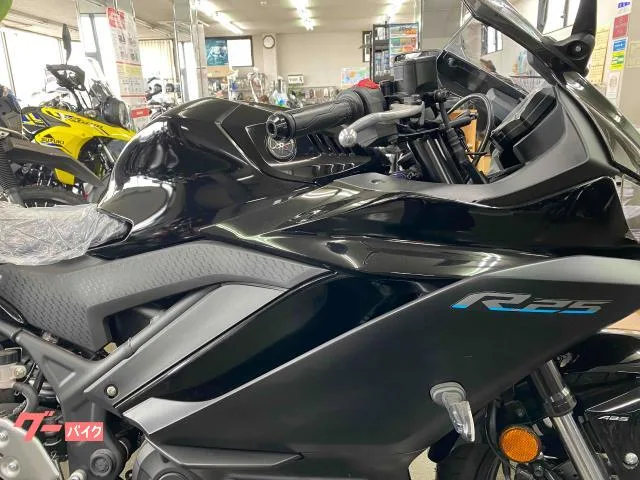 Yamaha YZF-R25 2024 — миниатюра 3
