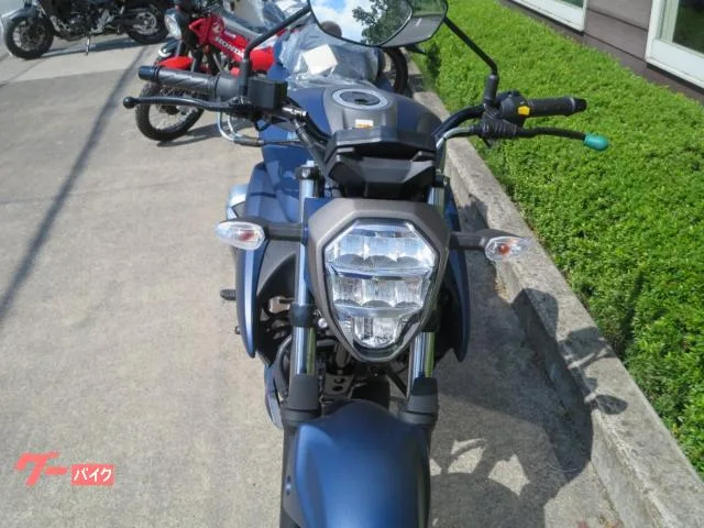 Suzuki GIXXER 250 2023 — миниатюра 2