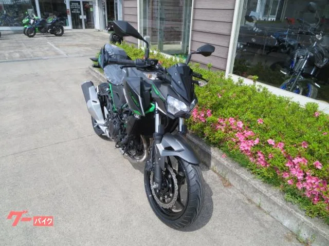 Kawasaki Z250 24 2024 — миниатюра 2