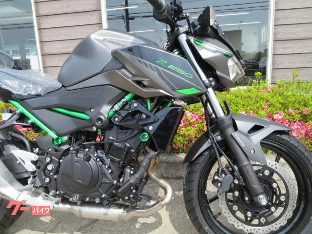 Kawasaki Z250 24 2024 — миниатюра 3