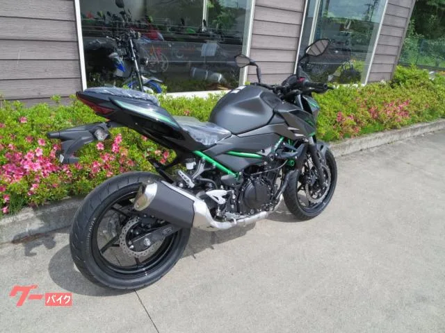 Kawasaki Z250 24 2024 — миниатюра 4