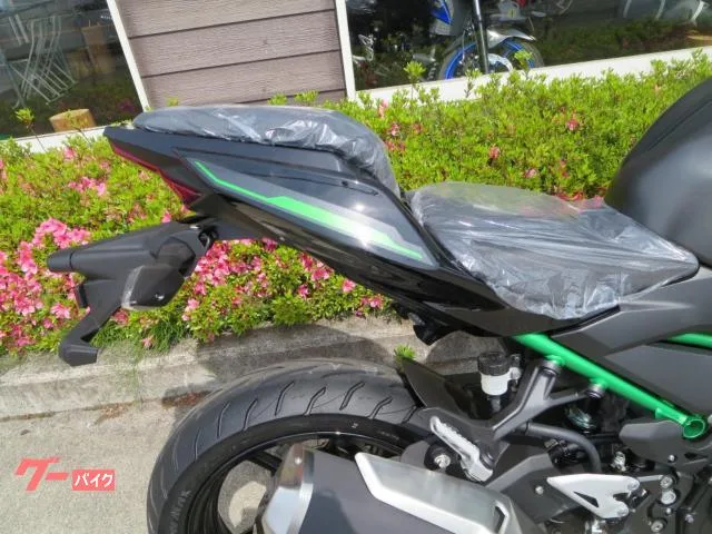Kawasaki Z250 24 2024 — миниатюра 5