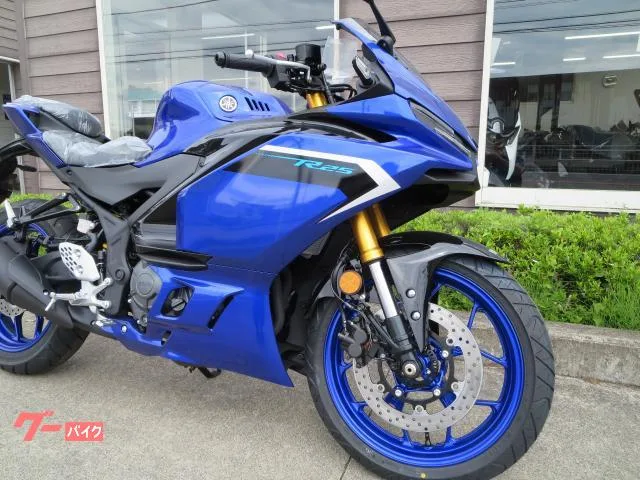 Yamaha YZF-R25 25 2025 — миниатюра 4