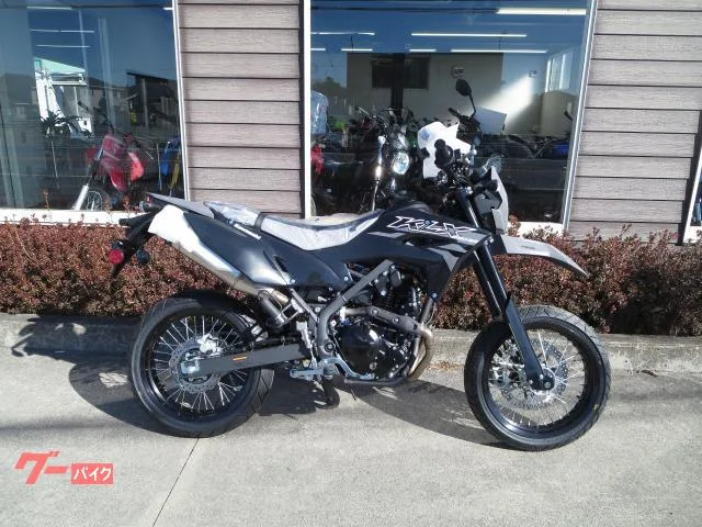 Kawasaki KLX230SM 26 2026 — фото 1, купить с доставкой в Москву