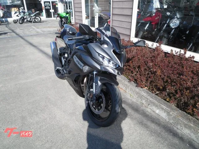 Kawasaki Ninja ZX-4R SE 26 2026 — миниатюра 2