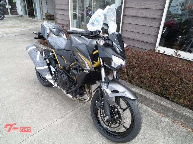 Kawasaki Z400 2026 2026 — миниатюра 2