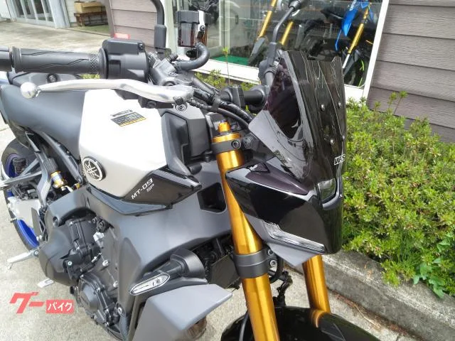 Yamaha MT-09 SP RN87J ETC 2025 — миниатюра 3