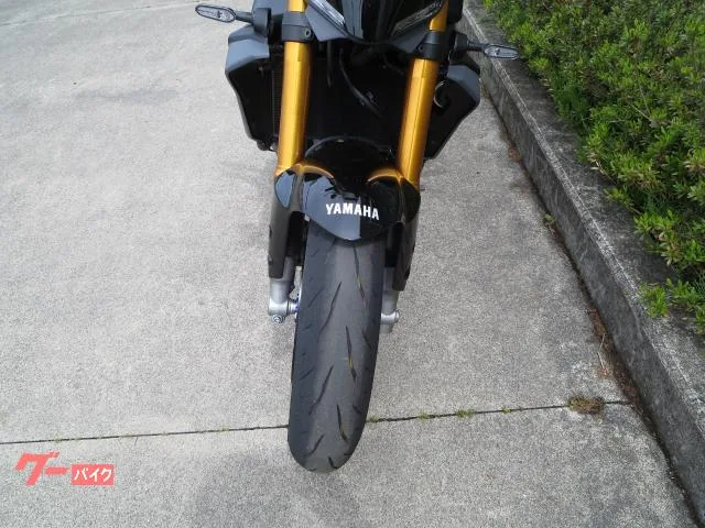 Yamaha MT-09 SP RN87J ETC 2025 — миниатюра 4