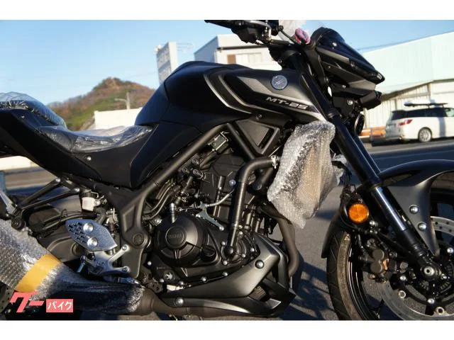 Yamaha MT-25 2022 2022 — миниатюра 4