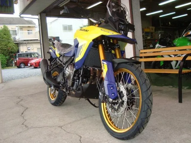 Suzuki V- 800DE 2023 — миниатюра 5