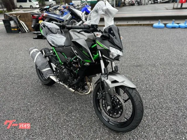 Kawasaki Z250 2024 2024 — миниатюра 2