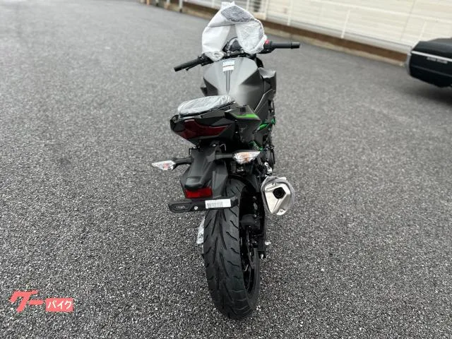 Kawasaki Z250 2024 2024 — миниатюра 4