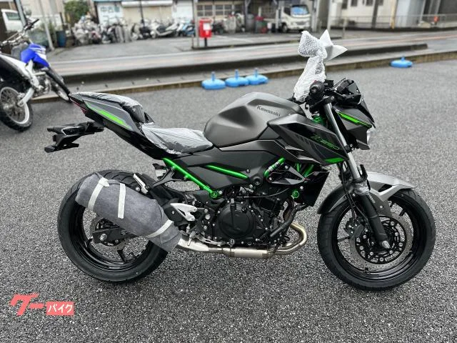 Kawasaki Z250 2024 2024 — фото 1, купить с доставкой в Москву