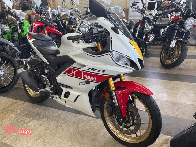 Yamaha YZF-R3 2022 — миниатюра 2