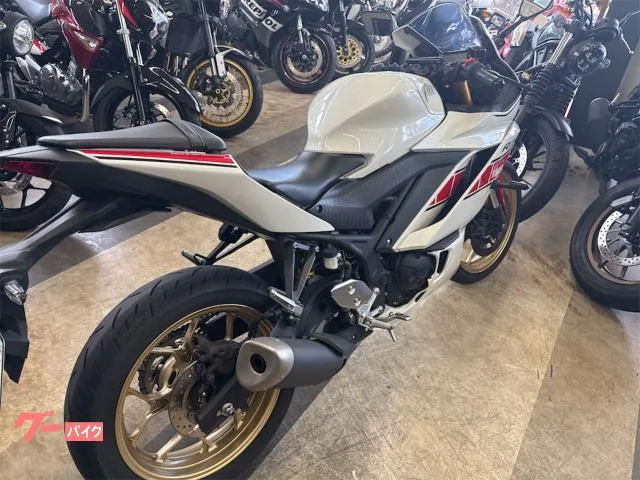 Yamaha YZF-R3 2022 — миниатюра 4