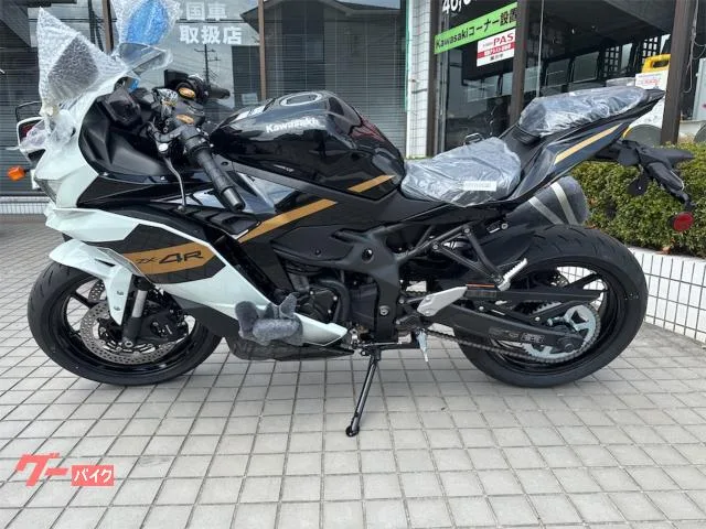 Kawasaki Ninja ZX-4R SE 2026 — миниатюра 3