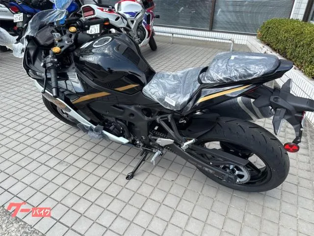 Kawasaki Ninja ZX-4R SE 2026 — миниатюра 5