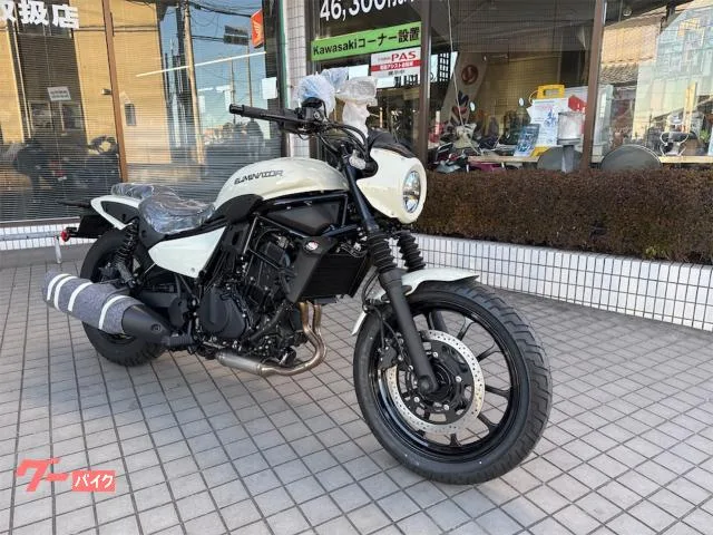 Kawasaki 400SE/ETC2.0//USB 2026 — миниатюра 2