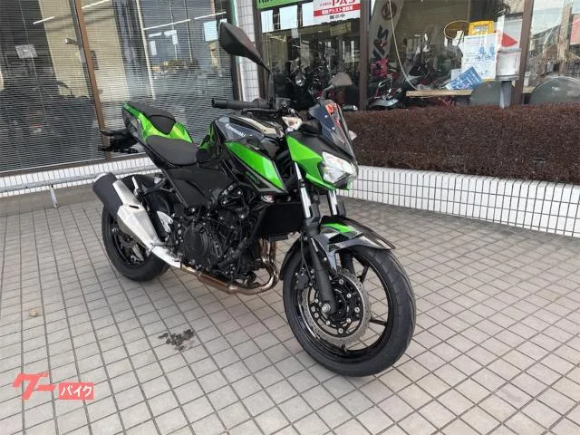 Kawasaki Z250 2023 — миниатюра 2