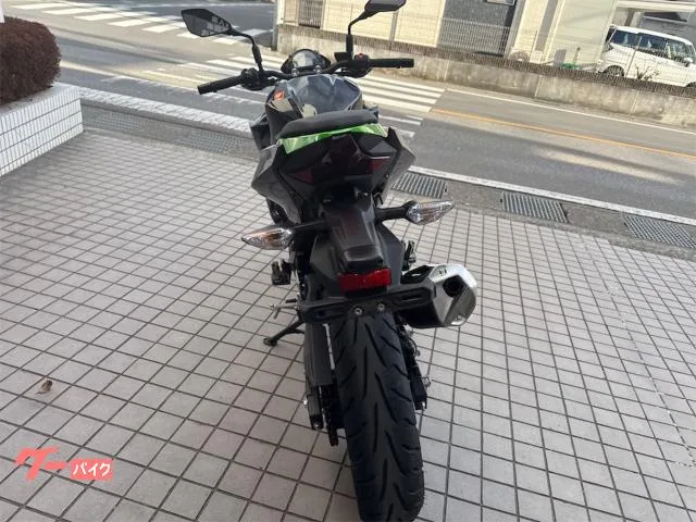 Kawasaki Z250 2023 — миниатюра 3