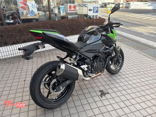 Kawasaki Z250 2023 — миниатюра 4