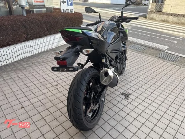 Kawasaki Z250 2023 — миниатюра 5