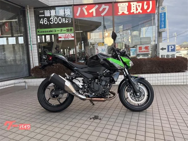 Kawasaki Z250 2023 — фото 1, купить с доставкой в Москву