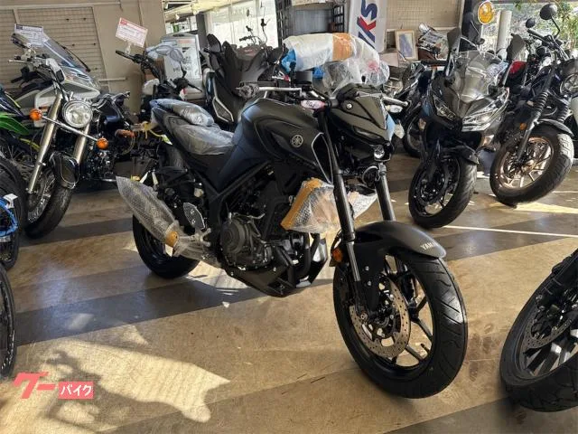 Yamaha MT-25 2026 — миниатюра 2