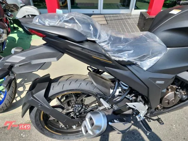 Suzuki GIXXER SF 250 2023 2023 — миниатюра 3
