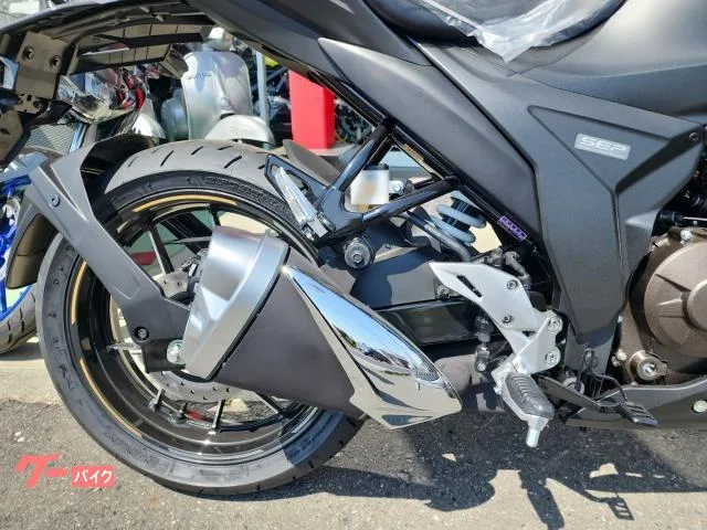 Suzuki GIXXER SF 250 2023 2023 — миниатюра 5