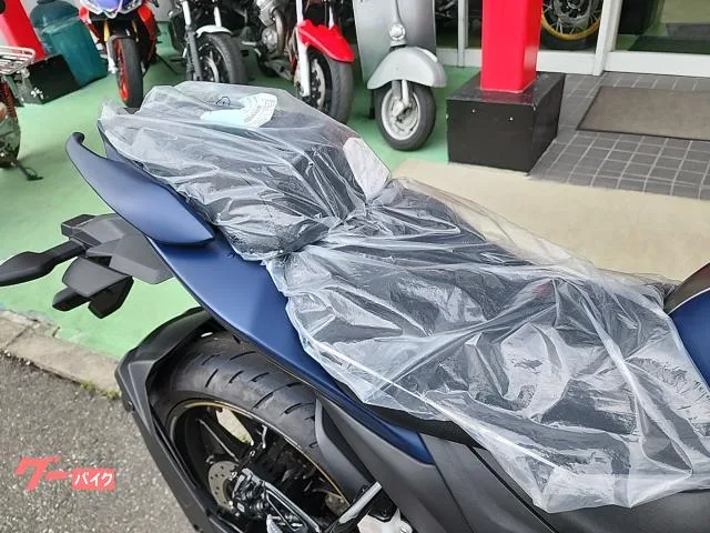 Suzuki GIXXER SF 250 2023 2023 — миниатюра 3