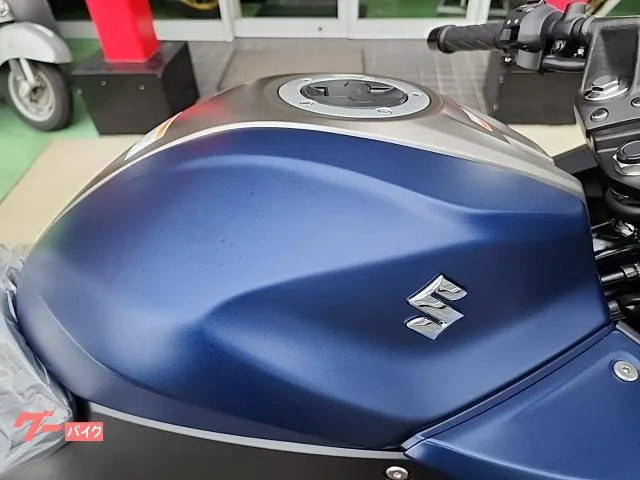 Suzuki GIXXER SF 250 2023 2023 — миниатюра 5