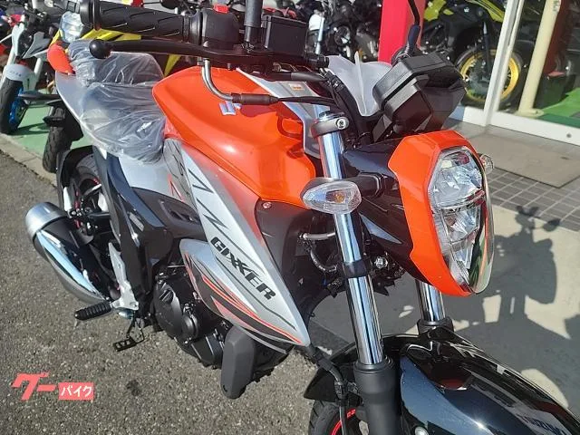 Suzuki GIXXER 150 2023 2023 — миниатюра 2