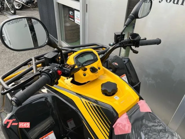 Buggy MXU300 2025 — миниатюра 2