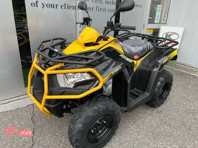 Buggy MXU300 2025 — миниатюра 3