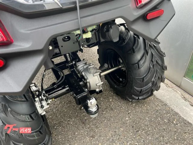 Buggy MXU300 2025 — миниатюра 5