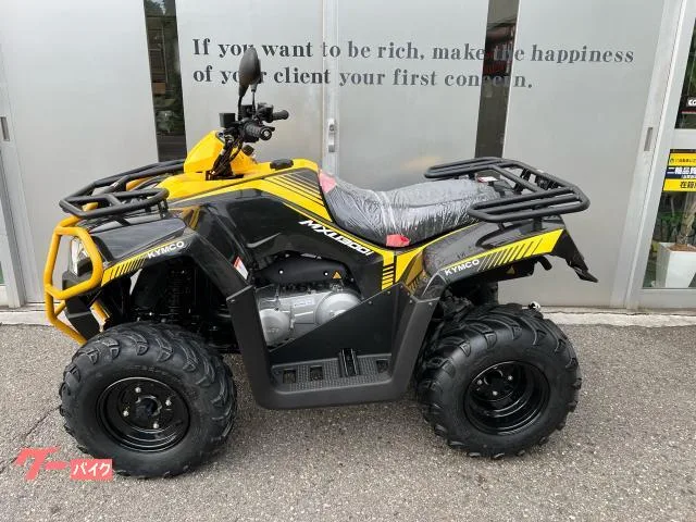 Buggy MXU300 2025 — фото 1, купить с доставкой в Москву