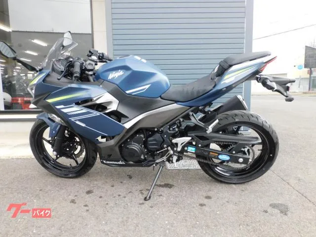 Kawasaki Ninja 400 2022 — миниатюра 2